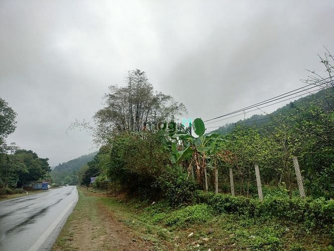 Hình ảnh Cần thanh khoản lô đất mặt đường QL6, xóm Tân Lập, xã Mông Hóa. Tp Hòa