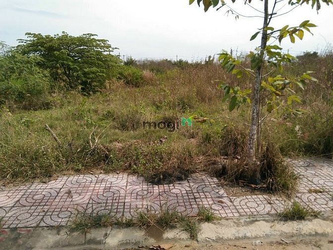 Hình ảnh Đất khu dân cư nam phong cần đước