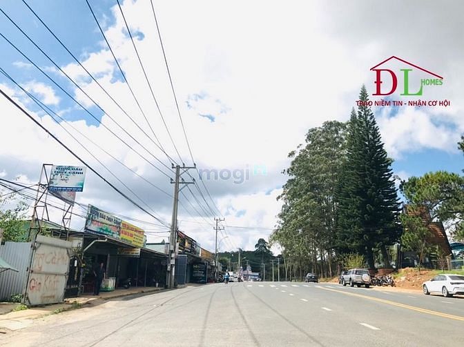 Hình ảnh Cho thuê đất mặt tiền Mai Anh Đào phường 8 Đà Lạt thích hợp kinh doanh