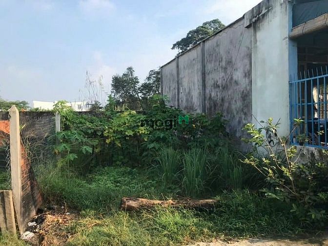 Hình ảnh Cần ra đi gấp mảnh đất tại củ chi