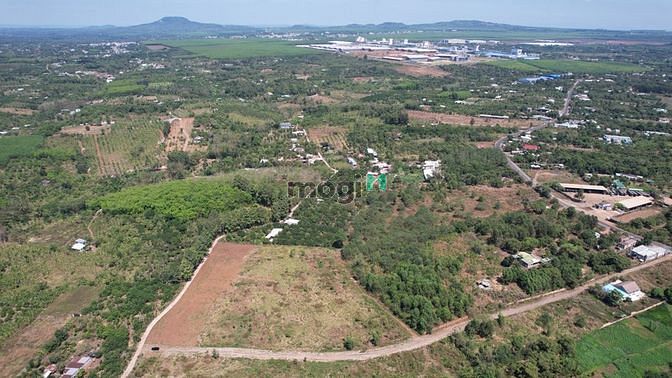 Hình ảnh Bán đất sổ riêng xã Hưng Lộc, Thống Nhất, Đồng Nai