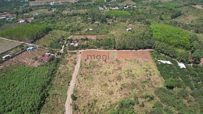 Hình ảnh Bán đất sổ riêng xã Hưng Lộc, Thống Nhất, Đồng Nai