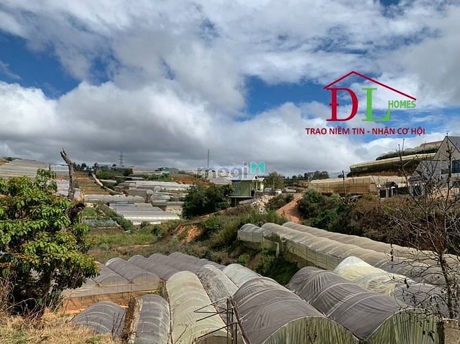 Hình ảnh Bán đất KQH Huỳnh Tấn Phát phường 11 Đà Lạt view thung lũng đắt giá