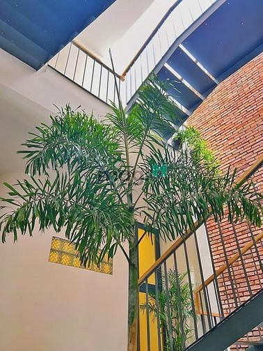 Hình ảnh CHDV quận 1, CMT8, võ thị sáu, hai bà trưng, tân định, phan đình phùng
