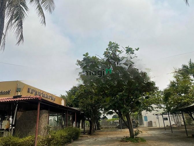 Hình ảnh cho thuê nhà vườn 2 mặt tiền view sông , gần lotteria , 1300m2