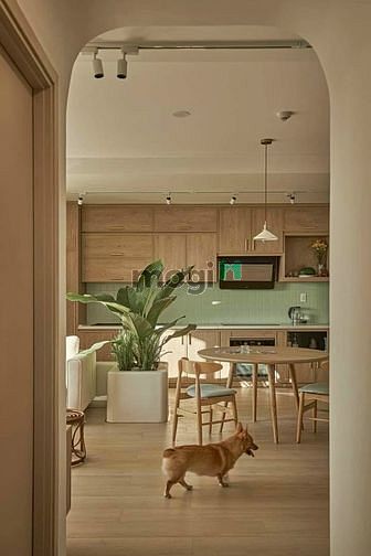 Hình ảnh 🌇CHDV Full nội thất Cao Cấp ngay Cầu Thị Nghè