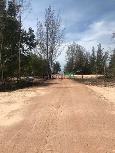 Hình ảnh Đất biển 1 Ha sát khu du lịch Cù Mi giá 19 tỷ .