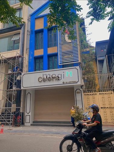 Hình ảnh Cho thuê thuê tầng 1 mặt phố Mai Hắc Đế