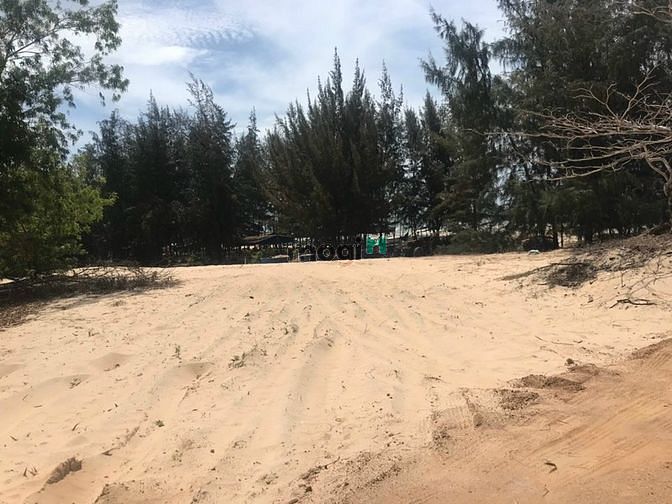 Hình ảnh Đất biển 1 Ha sát khu du lịch Cù Mi giá 19 tỷ .
