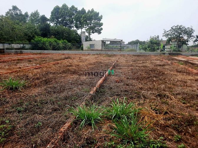 Hình ảnh Đất nền trung tâm Dầu Giây, đón đầu cao tốc, sân bay quốc tế Thành