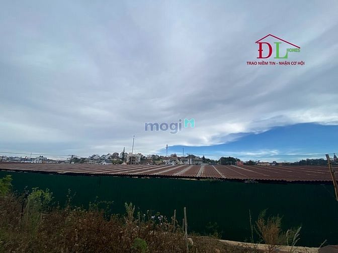 Hình ảnh Cho thuê đất Nguyên Tử Lực Phường 8 Đà Lạt hợp kinh doanh du lịch