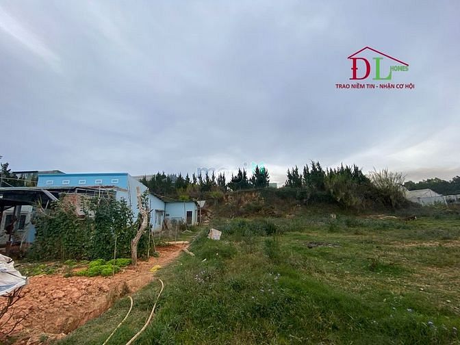 Hình ảnh Cho thuê đất Nguyên Tử Lực Phường 8 Đà Lạt hợp kinh doanh du lịch