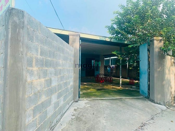 Hình ảnh 5x20m2 Đất Thạnh Phú Vĩnh Cửu – Giá 1.65 Tỷ