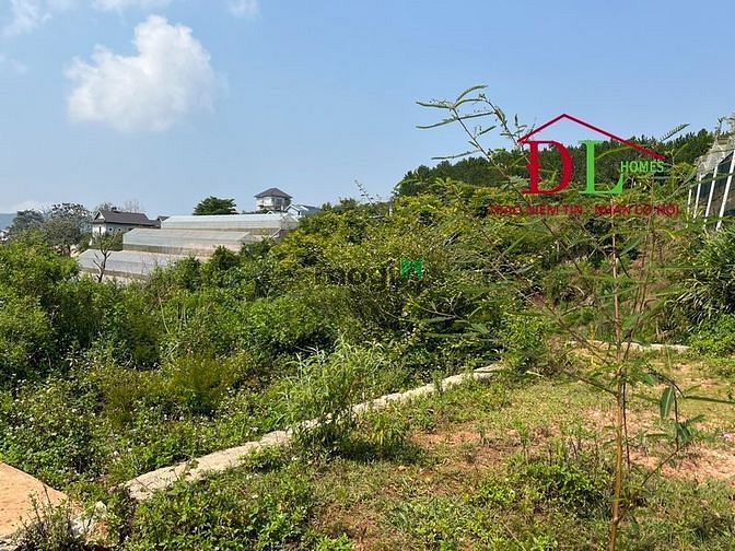 Hình ảnh Bán đất nghỉ dưỡng Măng Lin phường 7 Đà Lạt view đồi thông đắt giá