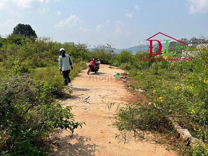 Hình ảnh Bán đất nghỉ dưỡng Măng Lin phường 7 Đà Lạt view đồi thông đắt giá