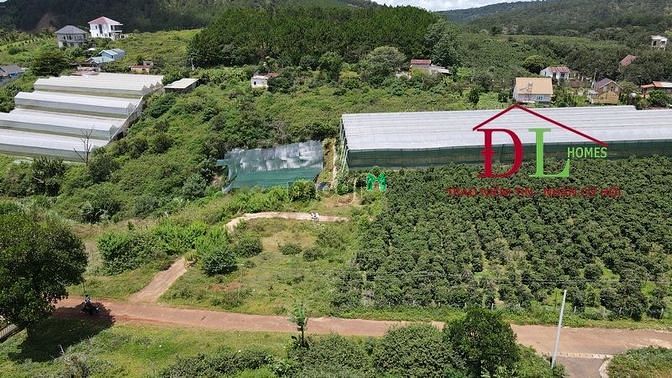 Hình ảnh Bán đất nghỉ dưỡng Măng Lin phường 7 Đà Lạt view đồi thông đắt giá