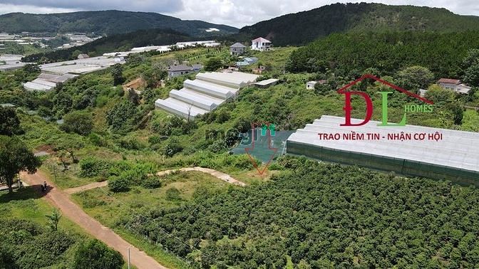 Hình ảnh Bán đất nghỉ dưỡng Măng Lin phường 7 Đà Lạt view đồi thông đắt giá