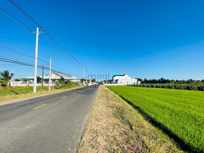 Hình ảnh Bán đất thổ cư ven Phan Thiết. Đất chưa qua Trang MB66.COM Chính Thức - MB 66 Uy Tín. 800 triệu/ sổ