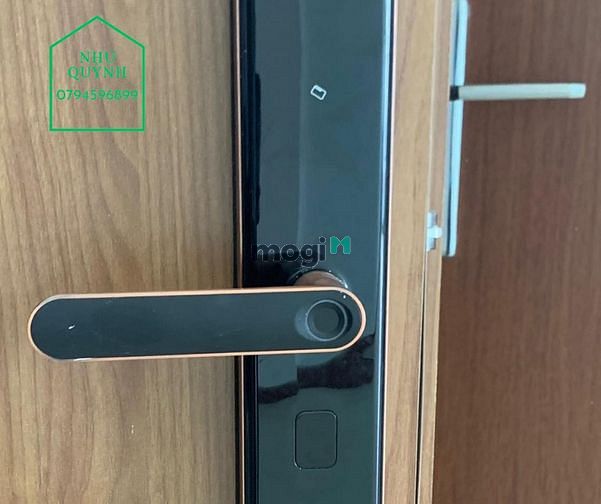 Hình ảnh Cho thuê IRIS TOWER giá cực tốt - Chốt ngay căn 2pn1wc chỉ 4Tr/Th