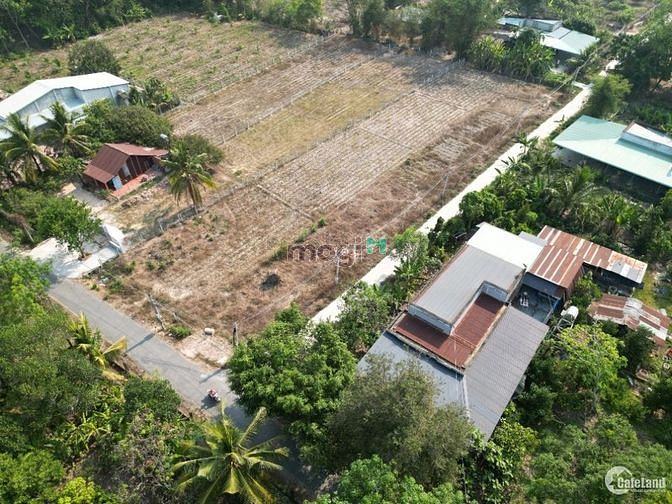 Hình ảnh Bán đất 220m2 Bàu Đồn, Gò Dầu, Tây Ninh