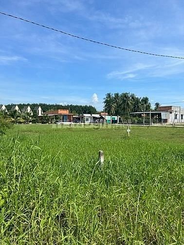 Hình ảnh Bán đất 220m2 Bàu Đồn, Gò Dầu, Tây Ninh