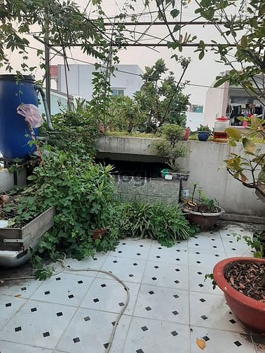 Hình ảnh Mặt tiền đường số 5A, Bình Hưng Hòa A, Bình Tân