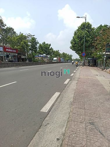 Hình ảnh Đất SHR 266m2 vuông vức đường 11 Linh Xuân Tp Thủ Đức