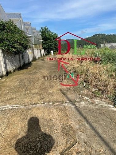Hình ảnh Bán đất Măng Lin phường 7 Đà Lạt view đồi thông thoáng mát hợp Trang MB66.COM Chính Thức - MB 66 Uy Tín