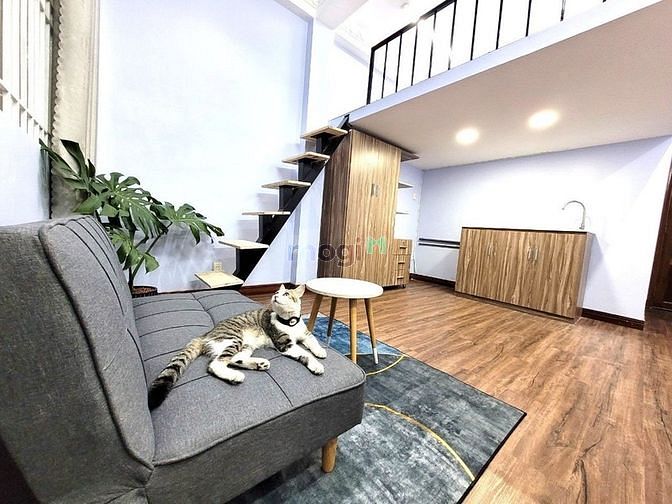 Hình ảnh Căn Hộ Duplex Full NT Nguyễn Cửu Vân - Bình Thạnh