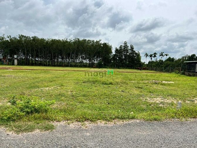 Hình ảnh Lô đất 200m2 thị trấn Gò Dầu đã có sổ riêng. Giá bán 600 triệu