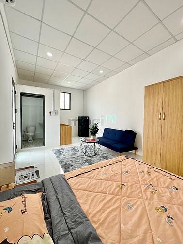Hình ảnh CHDV 1pn decor nhẹ nhàng siêuu đáng yêu