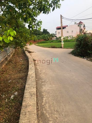 Hình ảnh Cho thuê 2.100m2 đất bờ kênh TX 31, q12 , 25tr , bằng phẳng