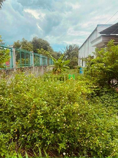 Hình ảnh 165m2 đất Cách QL 22 Chưa đến 3 bước chân, Tân Thông Hội. Giá 2,5 tỷ