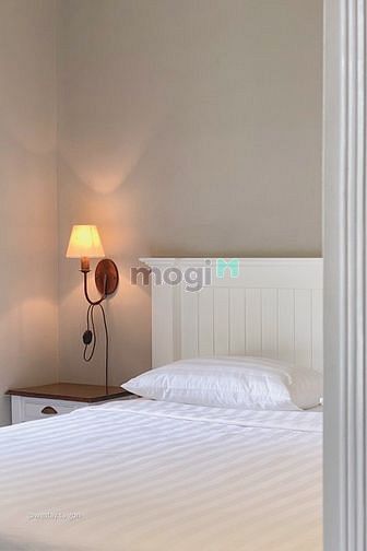 Hình ảnh Hoa Mộc Lan bên ô cửa .
