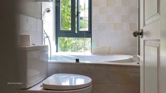 Hình ảnh Hoa Mộc Lan bên ô cửa .