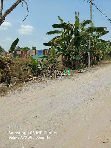 Hình ảnh Bán lô đất  8,25 x 160 m (1275m2) xã bình lơi,bc ,hcm,2ty4