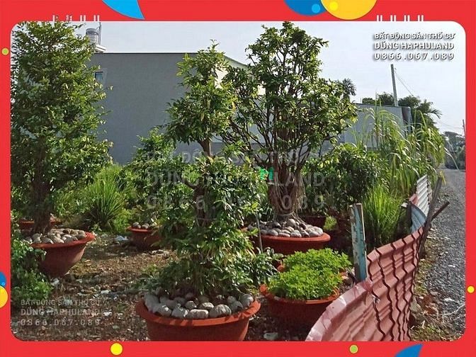 Hình ảnh Q12. Hot! Gấp! Nhanh thì còn! 18 triệu/m2, 1522m2 (gần full thổ cư).