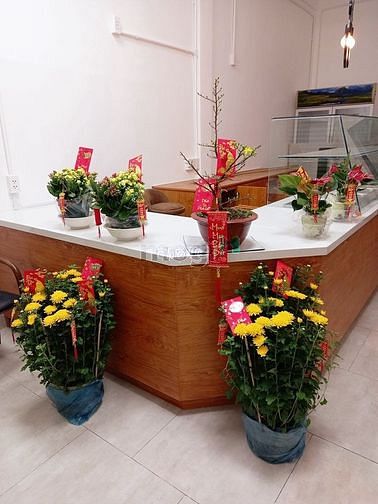 Hình ảnh 🏡🌈 𝗖𝗵𝗼 𝗧𝗵𝘂𝗲̂ MB Phan Đình Phùng, Phường 2, Quận Phú Nhuận – 2