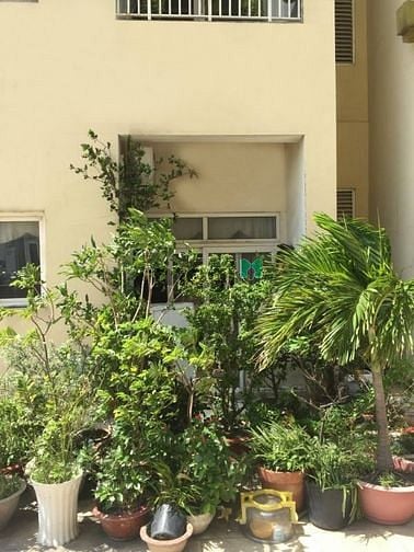 Hình ảnh Cho thuê Trang Chủ MB66.COM / Đăng Ký Tặng 66K Âu Cơ Tower - Đường Âu Cơ, DT 85m2, 3 Phòng ngủ, 2WC