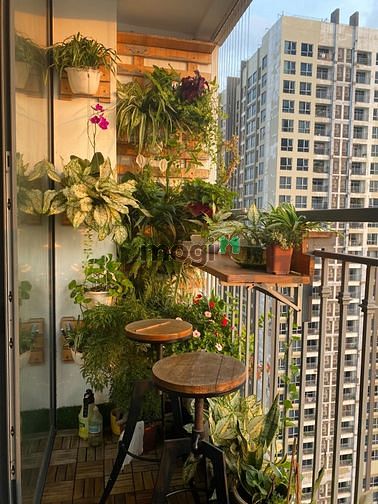 Hình ảnh Cho thuê CH 3PN Vinhomes Central Park