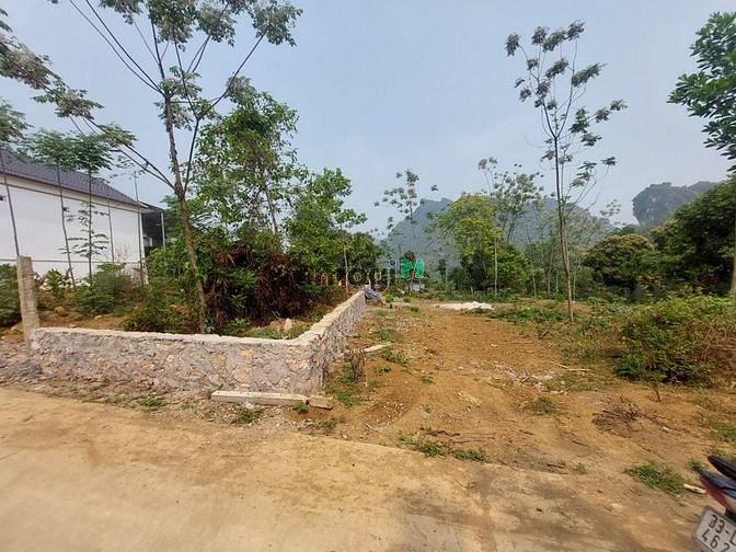 Hình ảnh Cần bán 954m2 đất, vị trí đẹp, cách đường Hồ Chí Minh 3km