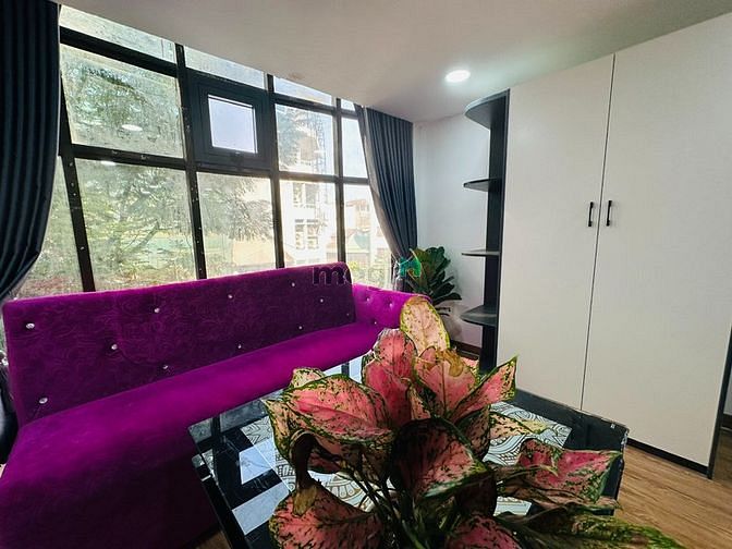 Hình ảnh CHDV cao cấp Phó Đức Chính quận 1