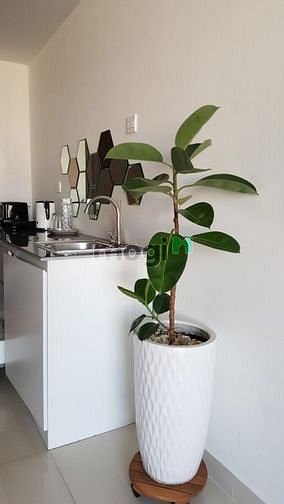 Hình ảnh Bán Trang Chủ MB66.COM / Đăng Ký Tặng 66K Rivergate Residence quận 4 📍 Địa chỉ: số 151-155 đường Bến