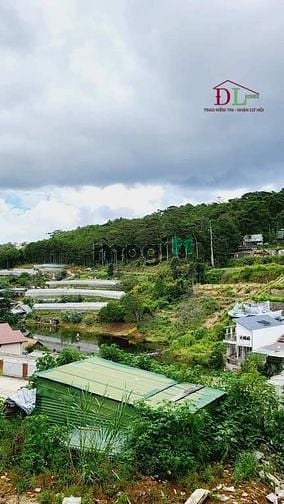 Hình ảnh Bán đất KQH T21 An Sơn phường 4 Đà Lạt thích hợp an cư nghĩ dưỡng