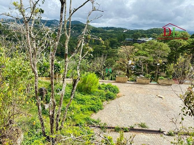 Hình ảnh Bán đất 2 mặt tiền hẻm Ba Tháng Tư phường 3 Đà Lạt view thông vô cực