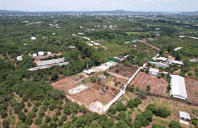Hình ảnh Siêu phẩm đất nền trung tâm Dầu Giây