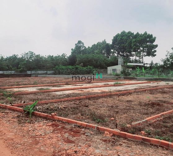 Hình ảnh Siêu phẩm đất nền Dầu Giây, giá chỉ 599tr/lô, 100% thổ cư, SHR