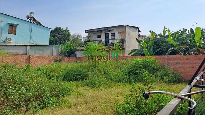 Hình ảnh Đất sổ đỏ 555m2 thổ cư 100% Phường Linh Xuân Tp Thủ Đức