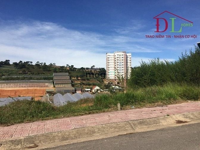 Hình ảnh Bán đất liên kế KQH Nguyễn Hoàng P7 Đà Lạt vị trí đẹp giá tốt