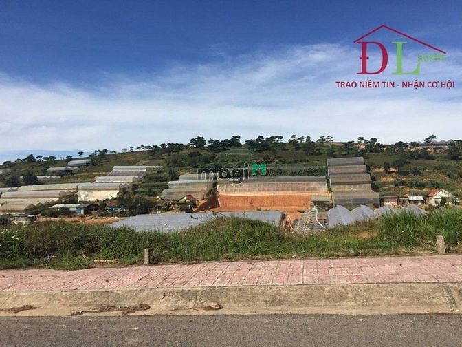 Hình ảnh Bán đất liên kế KQH Nguyễn Hoàng P7 Đà Lạt vị trí đẹp giá tốt